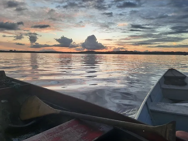 O Instituto Salvaterra promove treinamento sobre temas de biodiversidade da Amazônia.